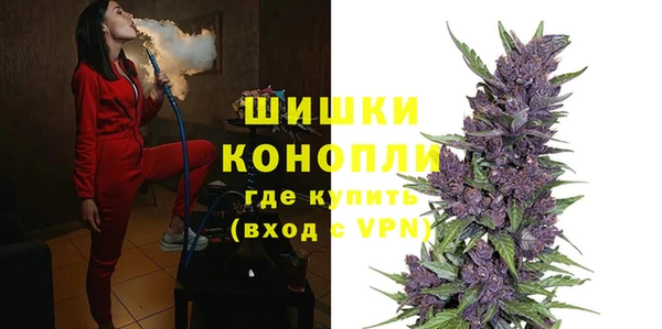 прущие грибы Медвежьегорск
