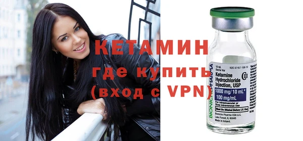 прущие грибы Медвежьегорск