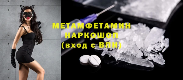 прущие грибы Медвежьегорск