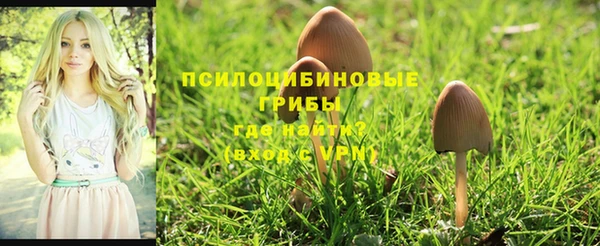 PSILOCYBIN Магас