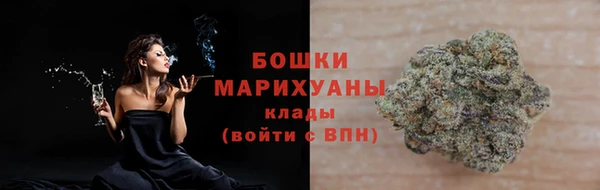 прущие грибы Медвежьегорск