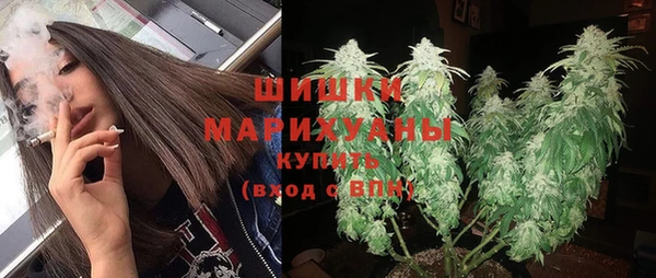 индика Магадан