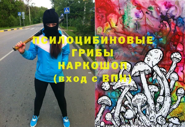 индика Магадан